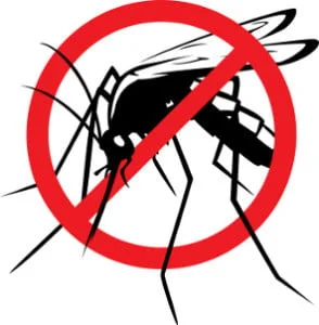 Zika Virus..