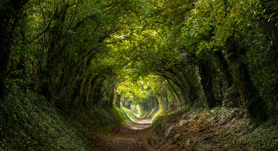 Creating Hope at Home: The Heart of Home Health Care